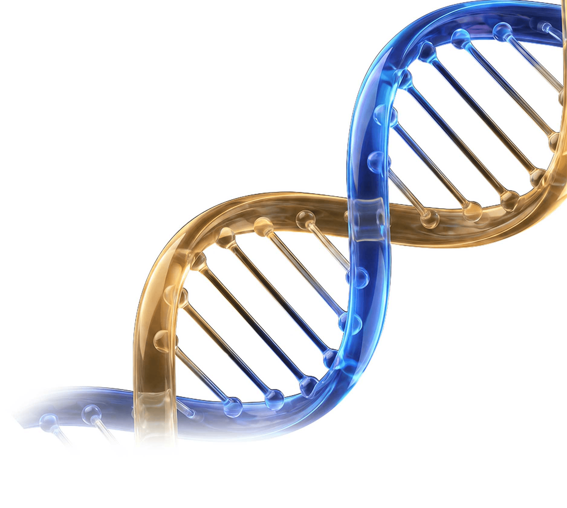 DNA - Matching intelligent HumanLink