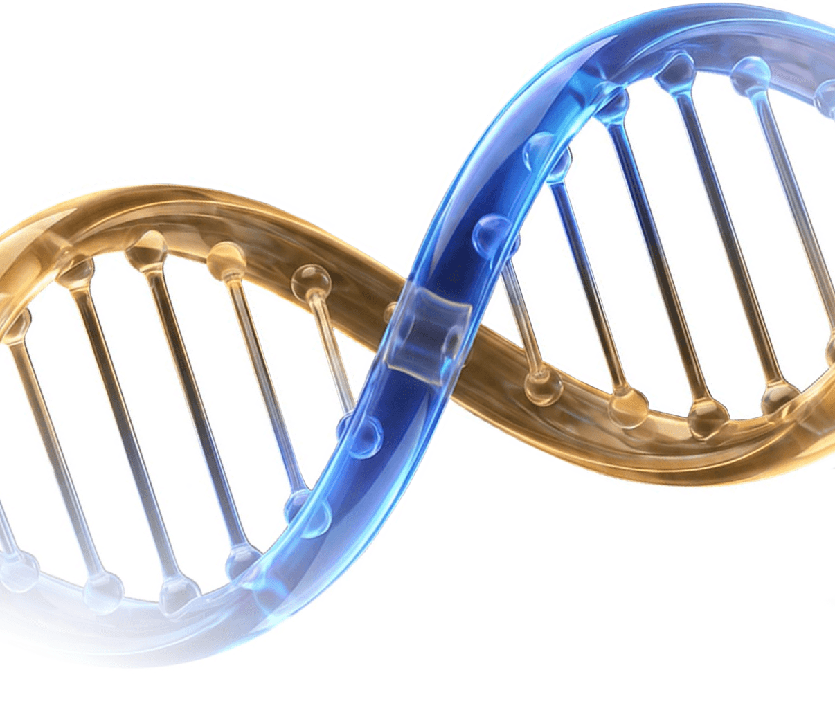 DNA - Matching intelligent HumanLink